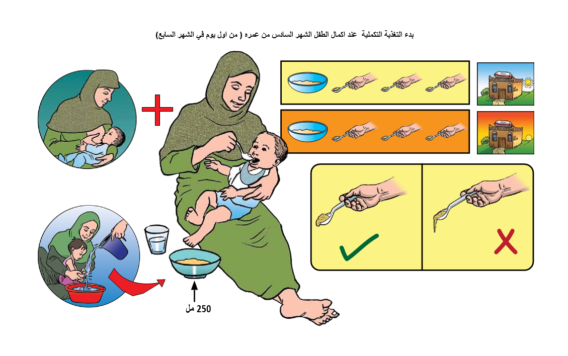 الأطعمة التكميلة للطفل خلال الشهر الثامن.png